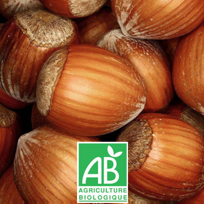 Noisetier Nottingham