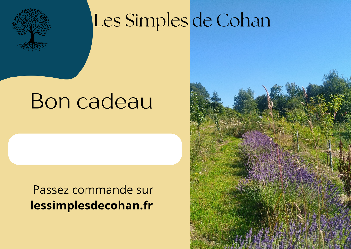 Offrez une forêt fruitière !